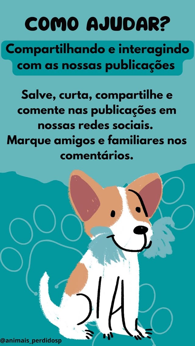 Como ajudar os animais