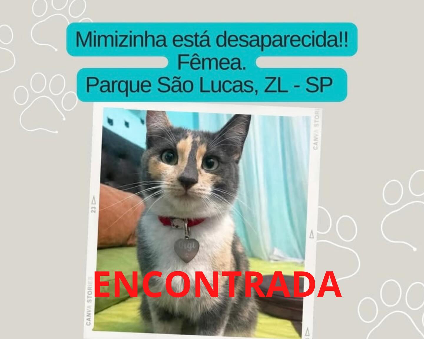Mimizinha - animal encontrado
